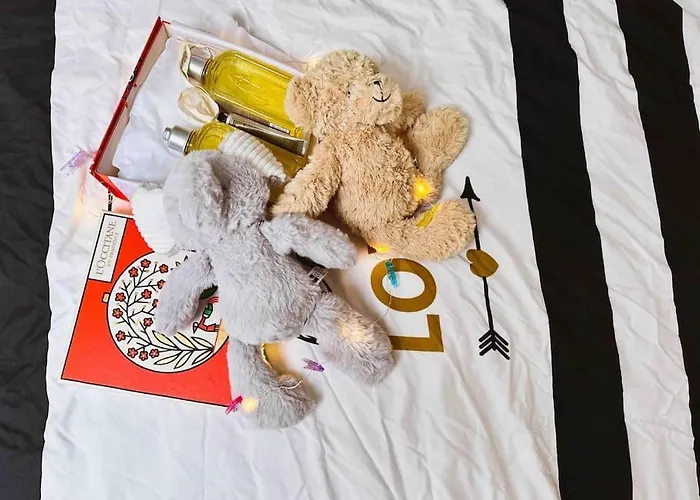 Appartement Spacious Loft Saint Michel *